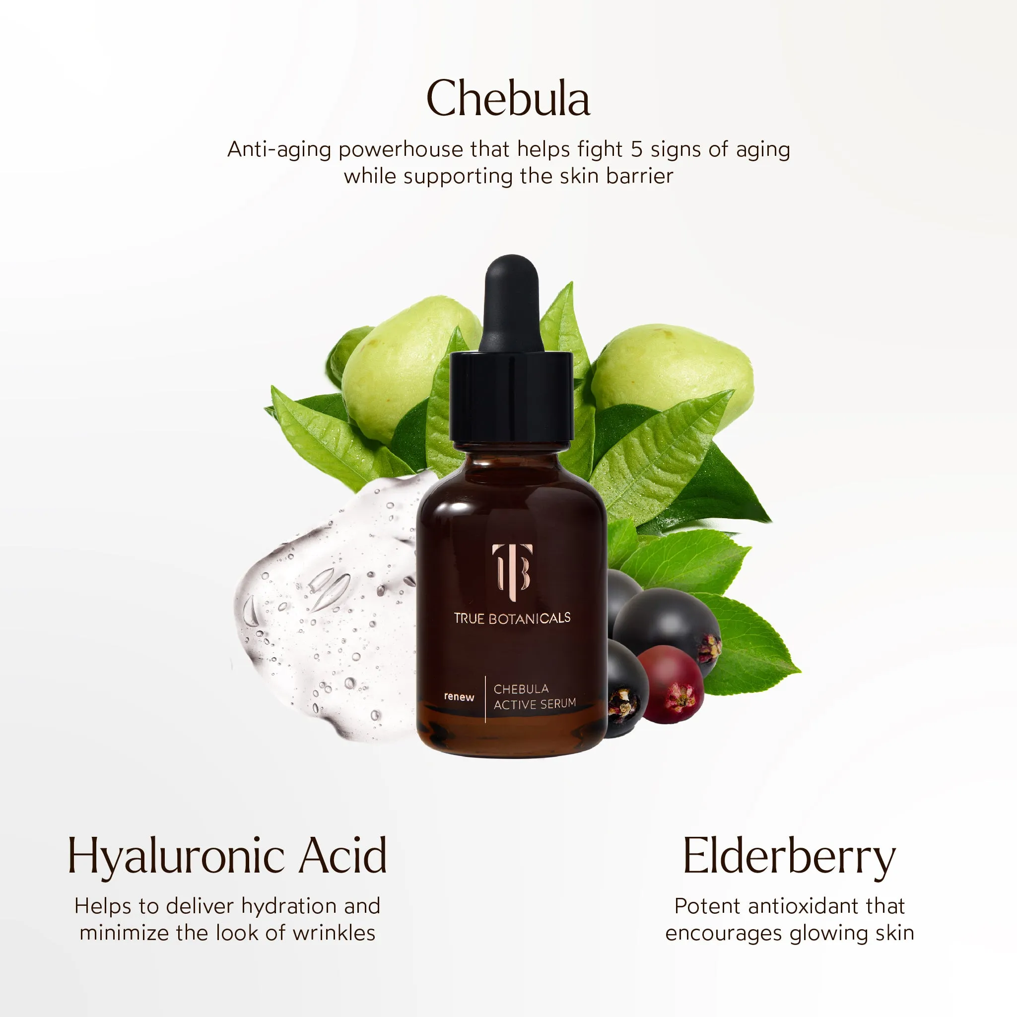 Chebula Active Anti-Aging Serum