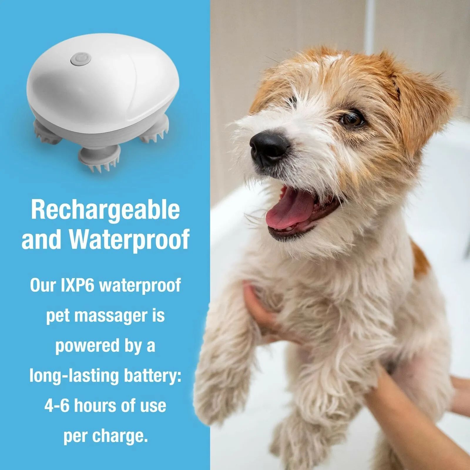 Pet Massager